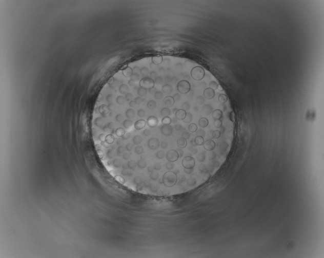 X0000111481106200908250954