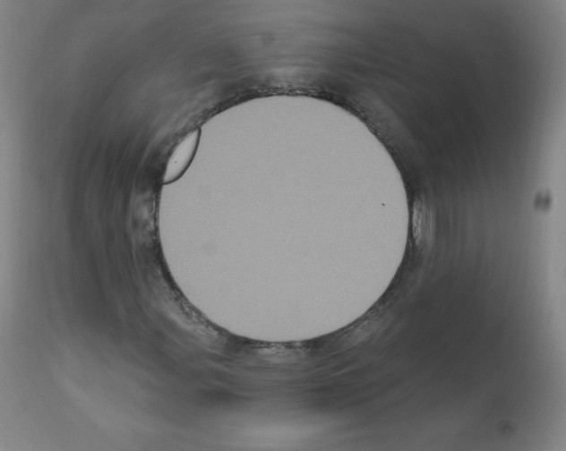 X0000111481107200908250954
