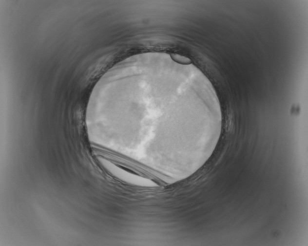 X0000111481108200908250954