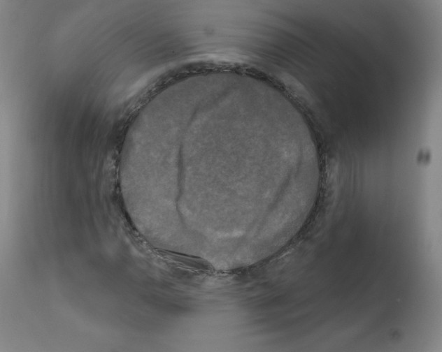 X0000111481110200908250954