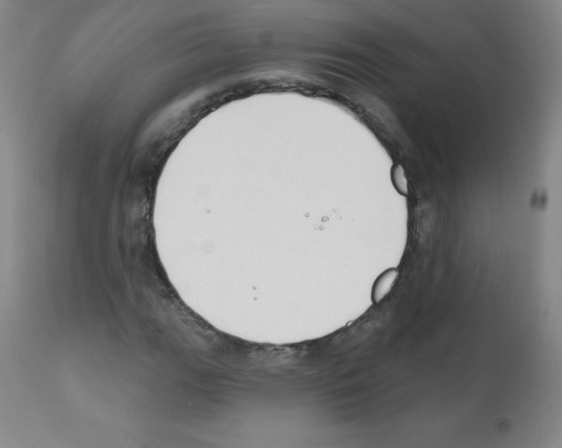 X0000111481111200908250954