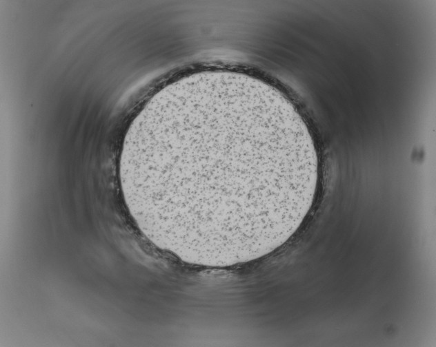 X0000111481112200908250954