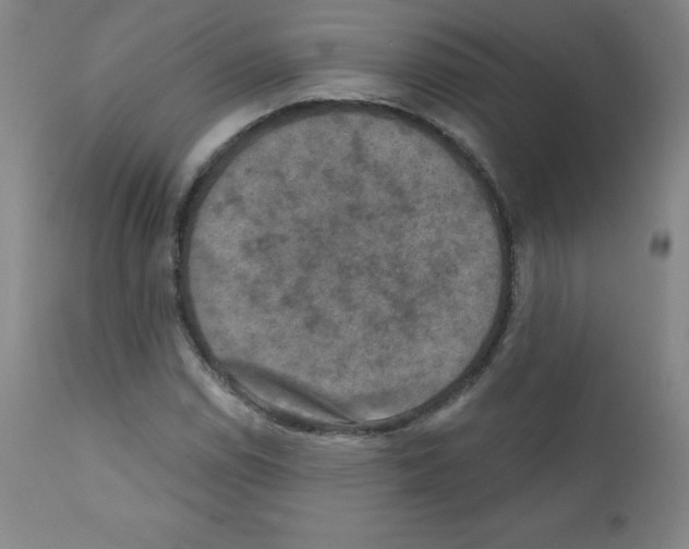 X0000111481114200908250954