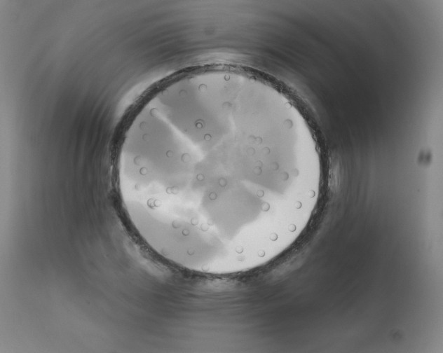 X0000111481117200908250954
