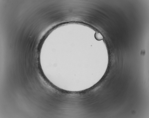 X0000111481118200908250954