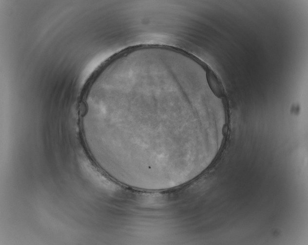 X0000111481120200908250954