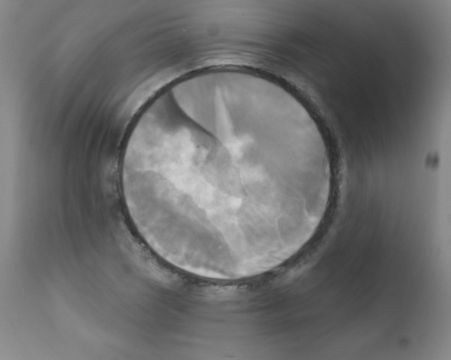 X0000111481121200908250954