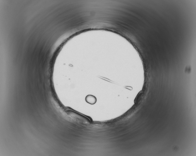 X0000111481122200908250954