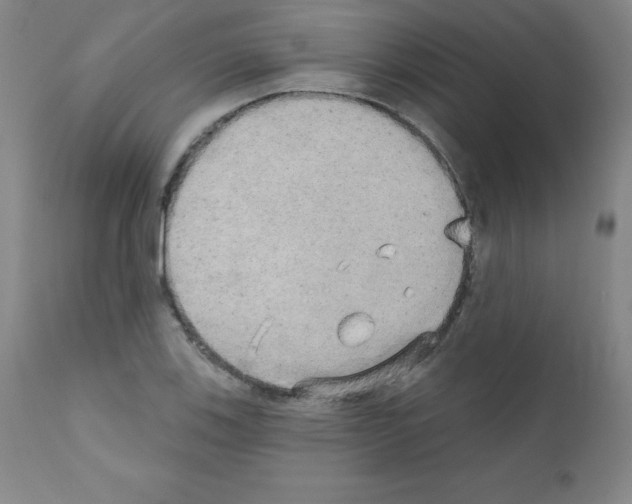 X0000111481123200908250954