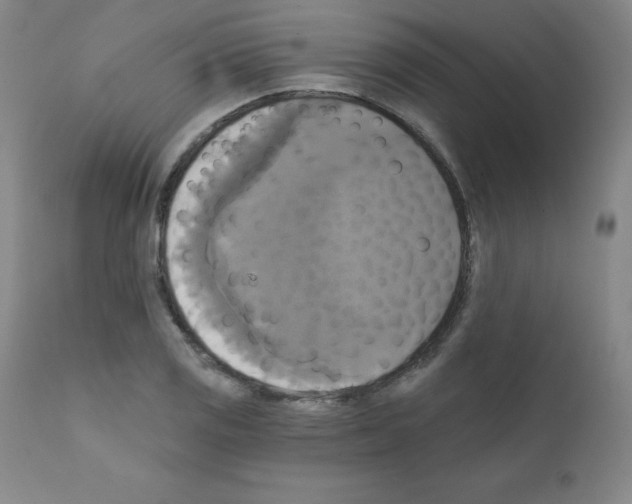 X0000111481125200908250955