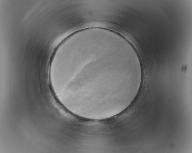 X0000111481127200908250955