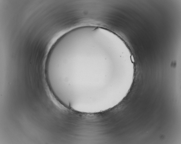 X0000111481128200908250955