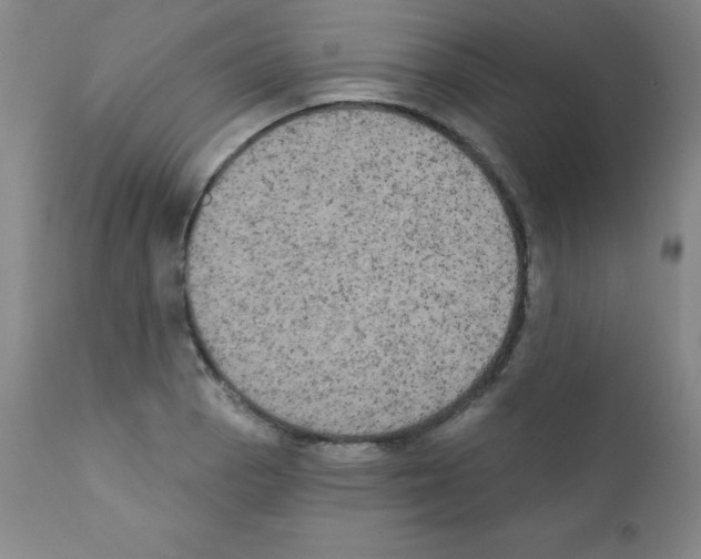 X0000111481129200908250955