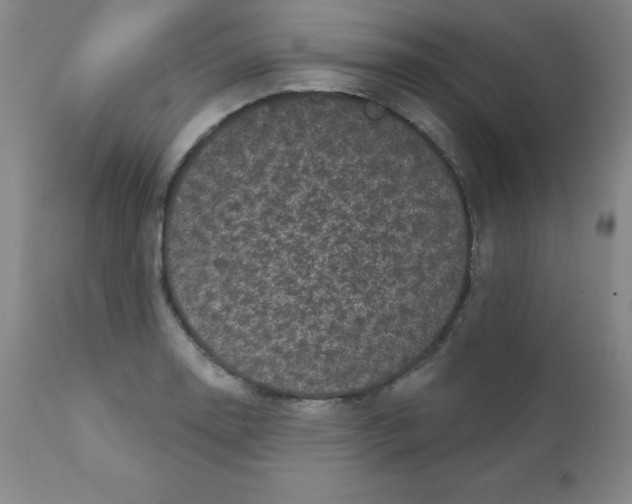 X0000111481130200908250955
