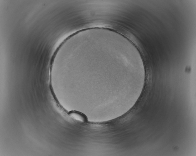 X0000111481132200908250955