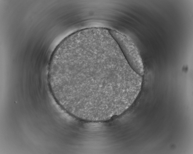 X0000111481134200908250955