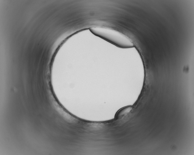 X0000111481136200908250955