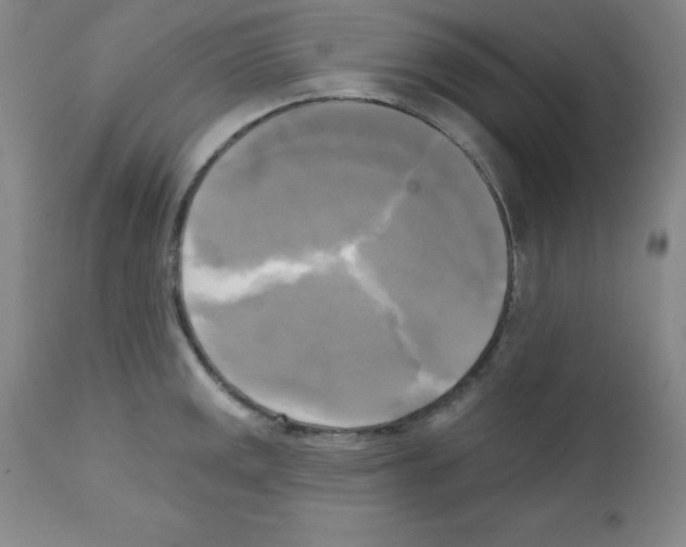 X0000111481141200908250955