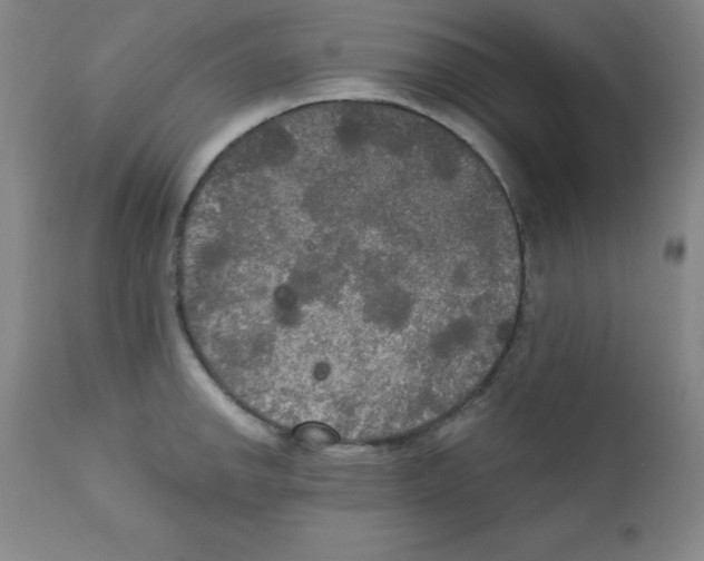 X0000111481142200908250955