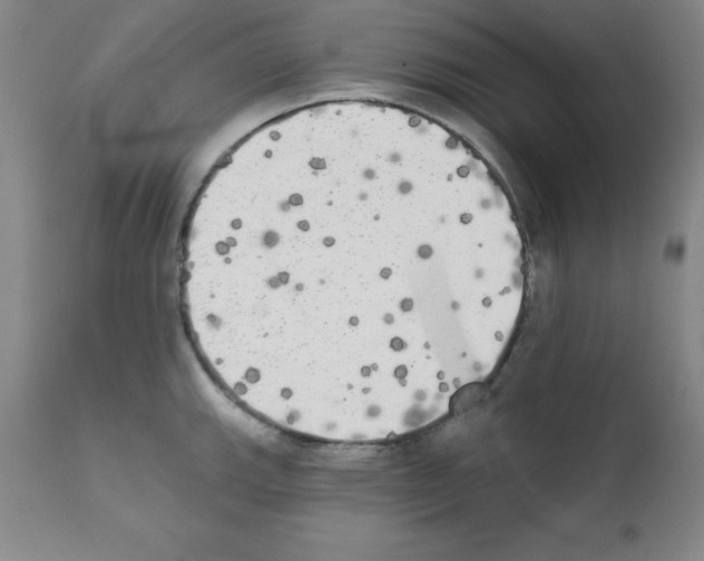 X0000111481143200908250955