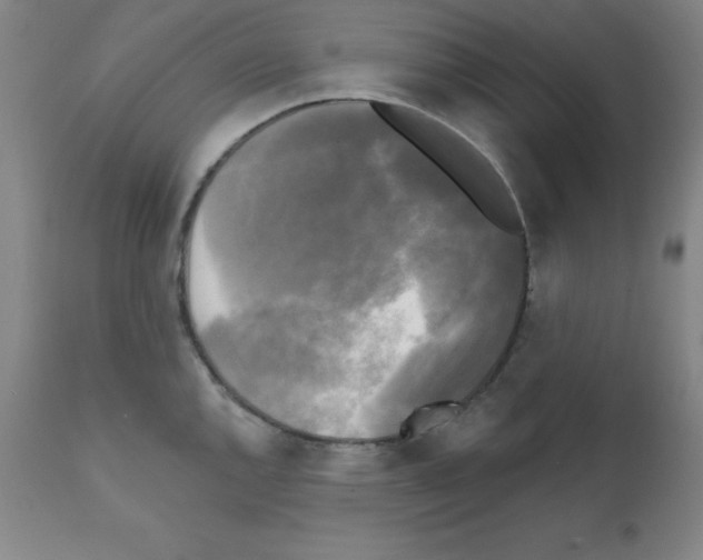 X0000111481144200908250955