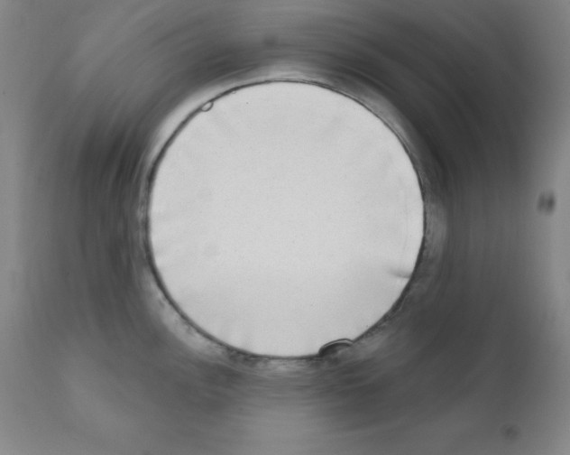 X0000111481148200908250955