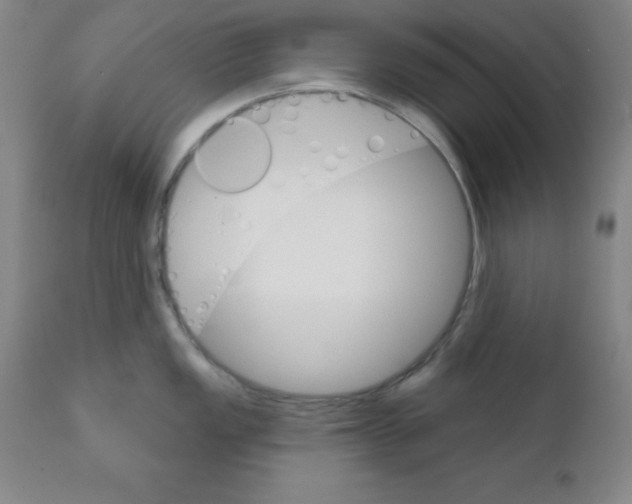 X0000111481149200908250955