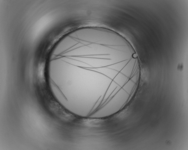 X0000111481150200908250955