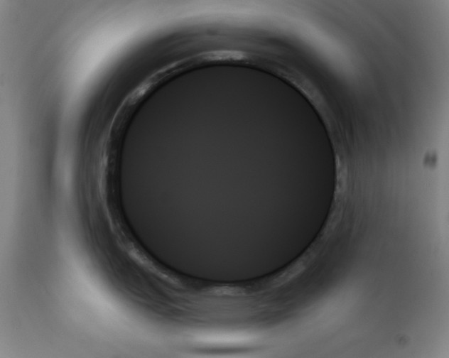X0000111481151200908250955