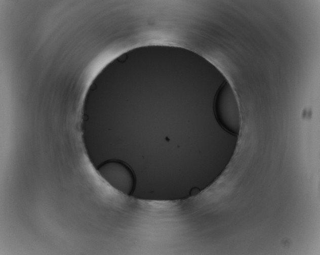 X0000111481152200908250955