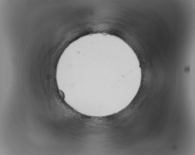 X0000111481153200908250954
