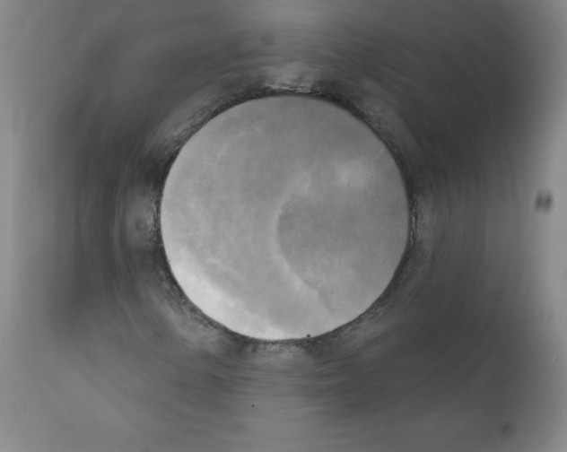 X0000111481154200908250954