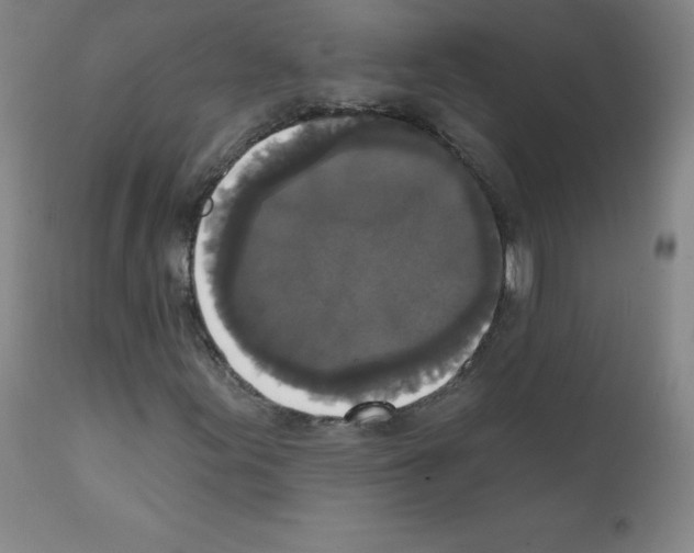 X0000111481155200908250954