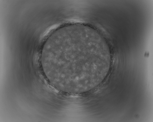 X0000111481157200908250954