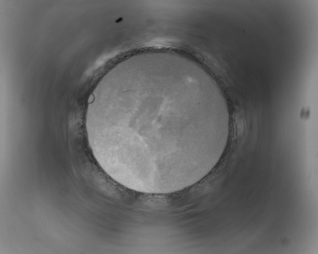 X0000111481158200908250954