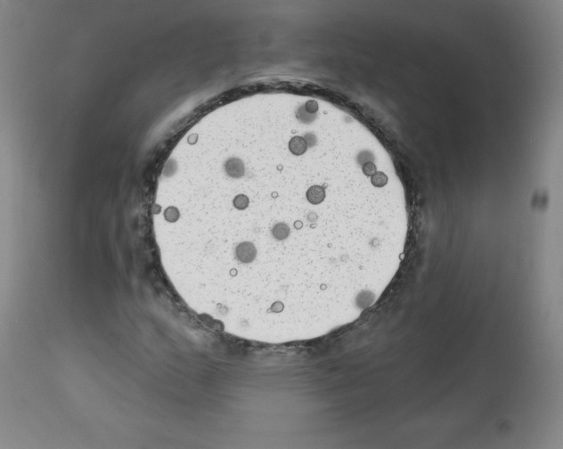X0000111481159200908250954