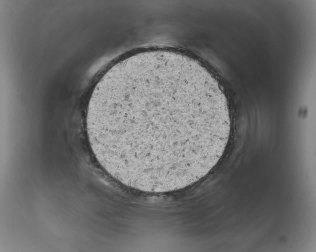 X0000111481160200908250954