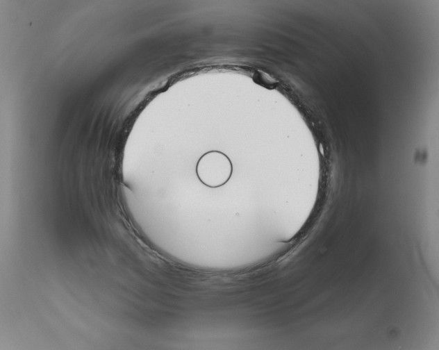 X0000111481161200908250954