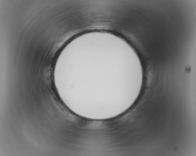 X0000111481162200908250954