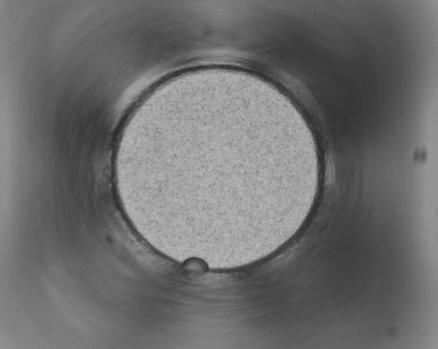 X0000111481164200908250954