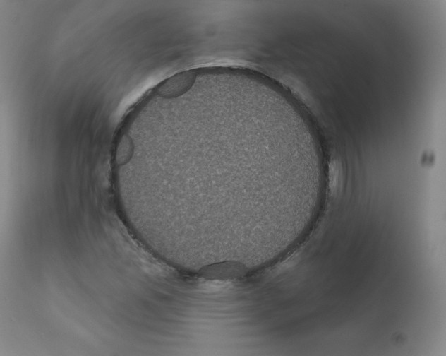 X0000111481165200908250954