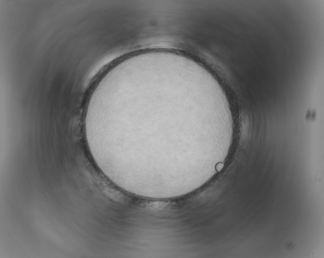 X0000111481166200908250954