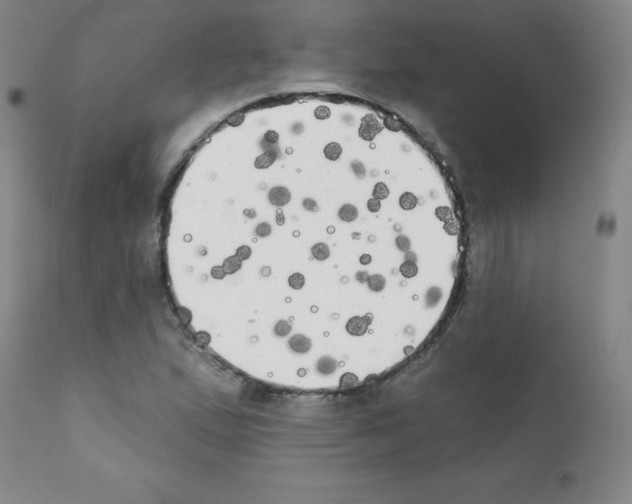X0000111481167200908250954