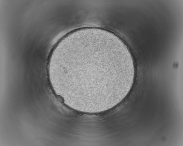X0000111481168200908250954