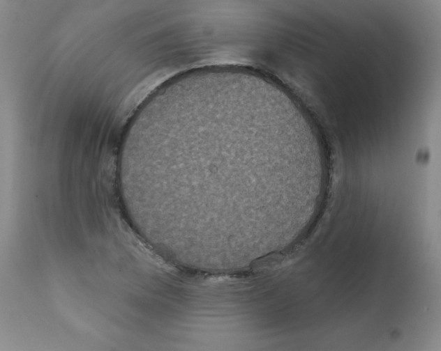 X0000111481169200908250954