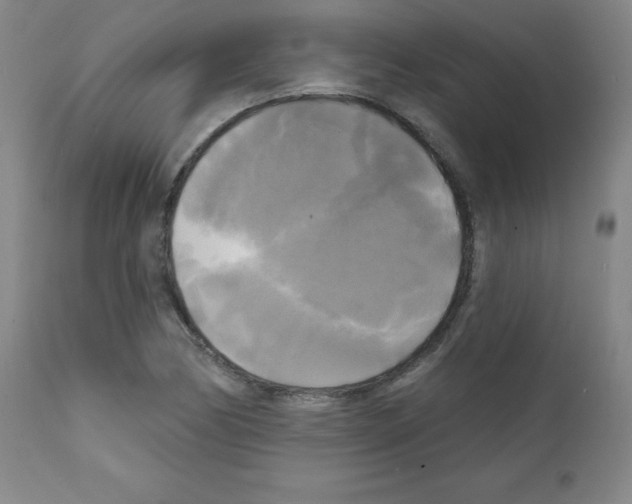 X0000111481170200908250954
