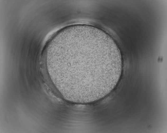 X0000111481172200908250954