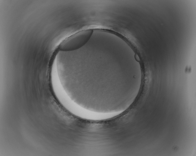 X0000111481173200908250954