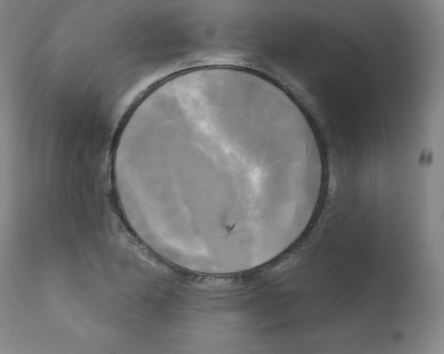 X0000111481174200908250954