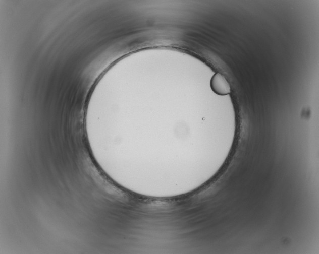 X0000111481178200908250954